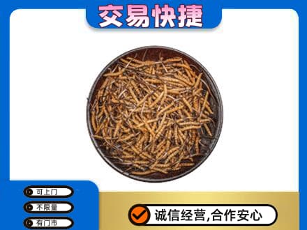 乡城县回收散虫草